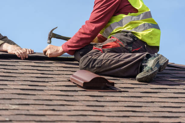 Best Roof Repair Services  in Mclean, TX