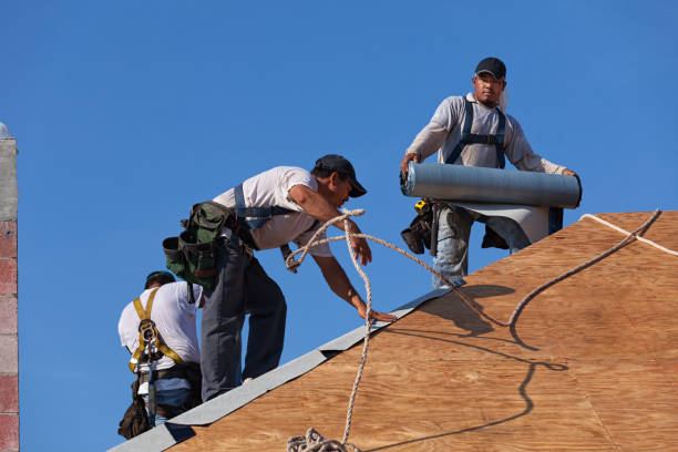 Best Sealant for Roof  in Mclean, TX